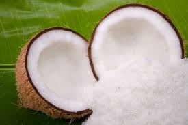 Manufacturers Exporters and Wholesale Suppliers of Desicated Coconut Powder Coonoor Tamil Nadu